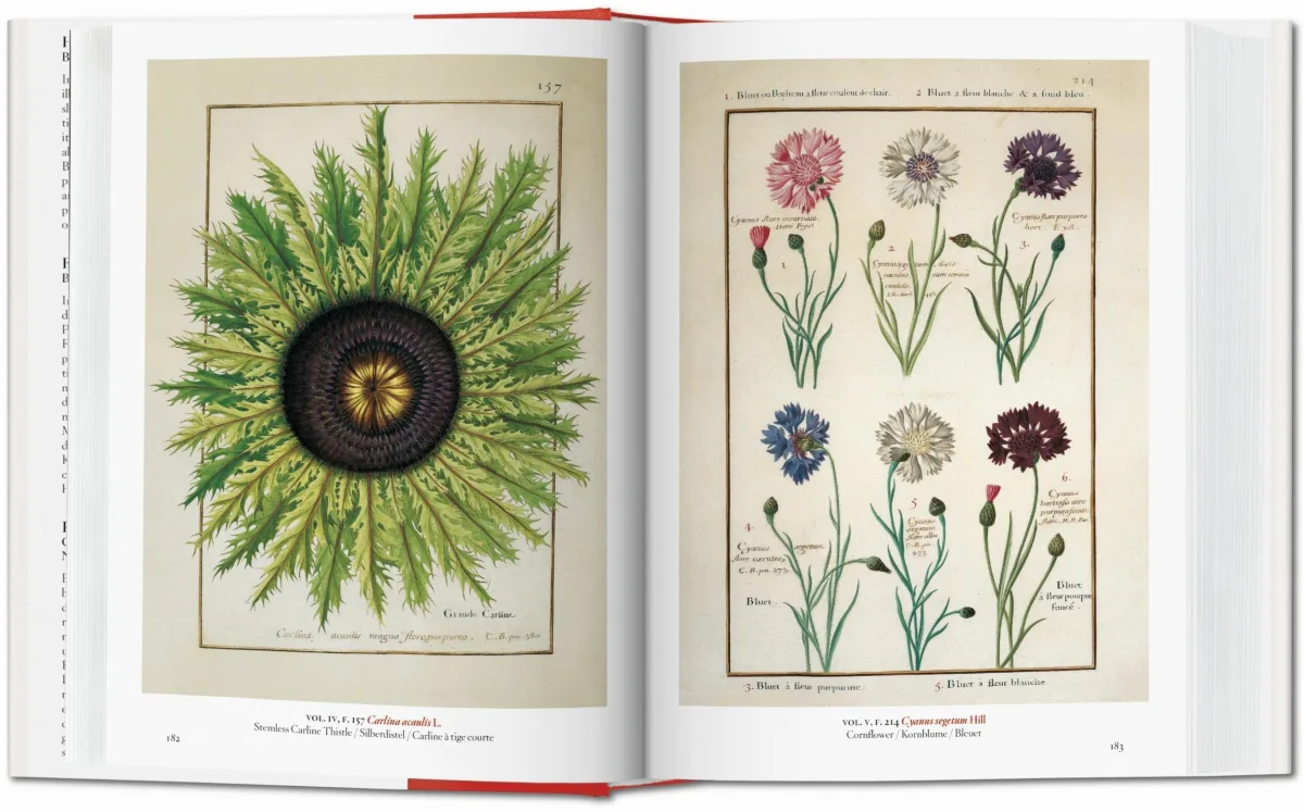 TASCHEN A Garden Eden. Masterpieces of Botanical Illustration. 40th Ed Nur noch ein Tag übrig