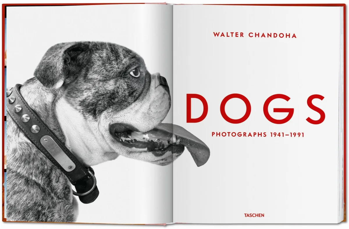 TASCHEN Walter Chandoha. Dogs. Photographs 1941–1991 Günstiger Verkauf
