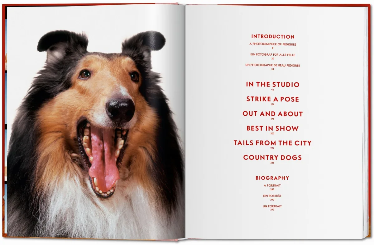 TASCHEN Walter Chandoha. Dogs. Photographs 1941–1991 Günstiger Verkauf