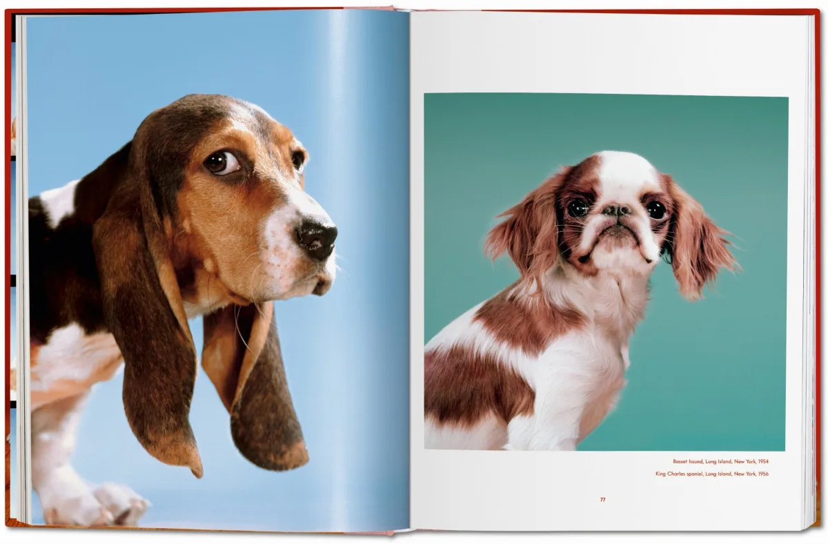 TASCHEN Walter Chandoha. Dogs. Photographs 1941–1991 Günstiger Verkauf
