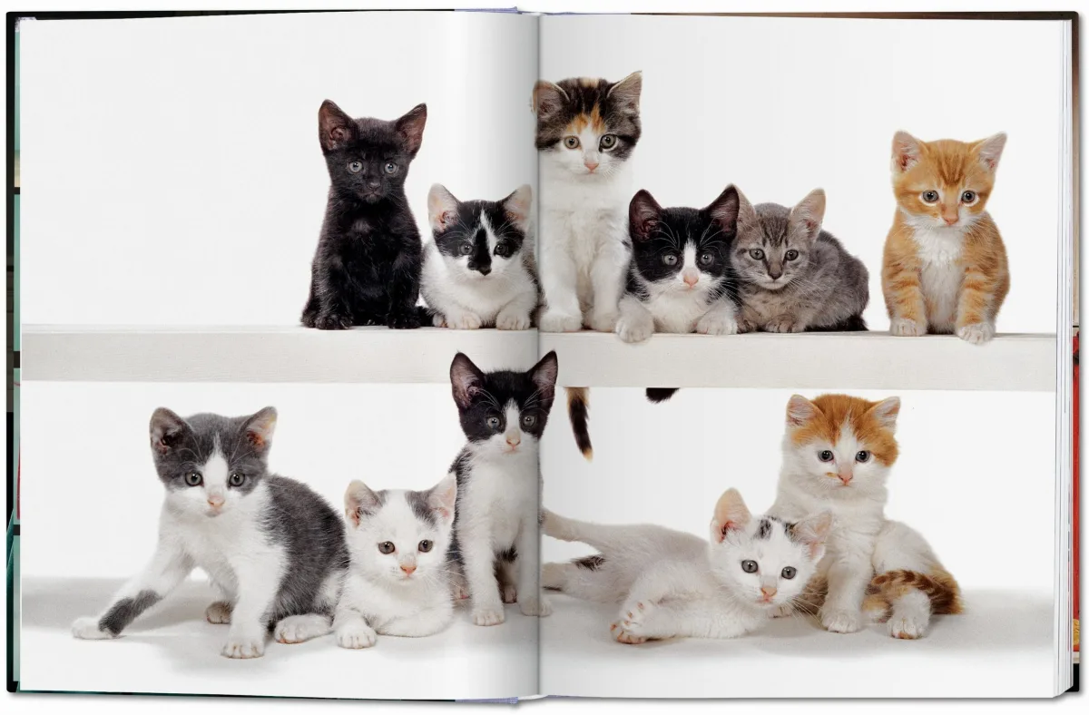 TASCHEN Walter Chandoha. Cats. Photographs 1942–2018 Fabrikpreis