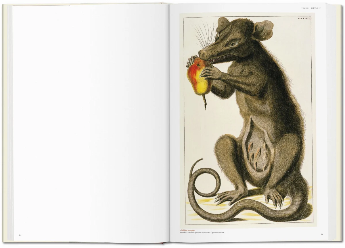 TASCHEN Seba. Cabinet of Natural Curiosities Preisnachlass
