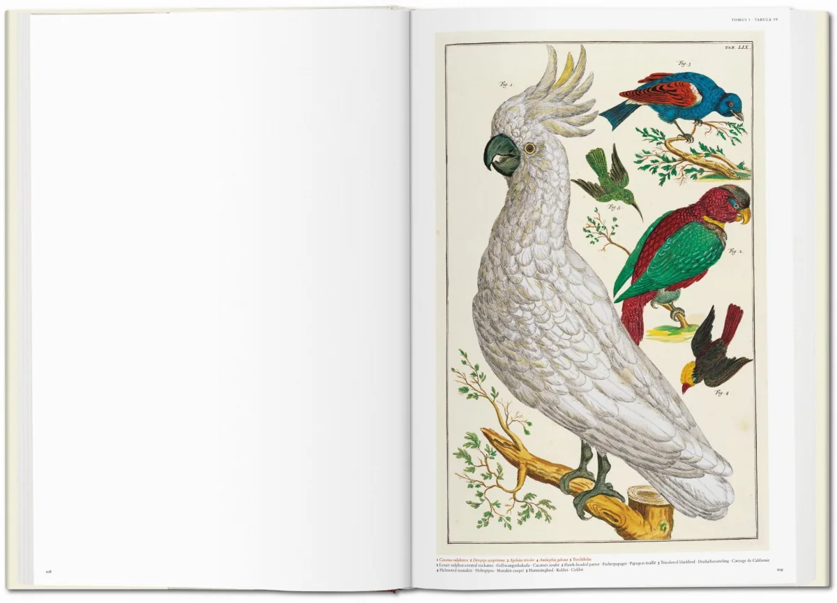 TASCHEN Seba. Cabinet of Natural Curiosities Preisnachlass