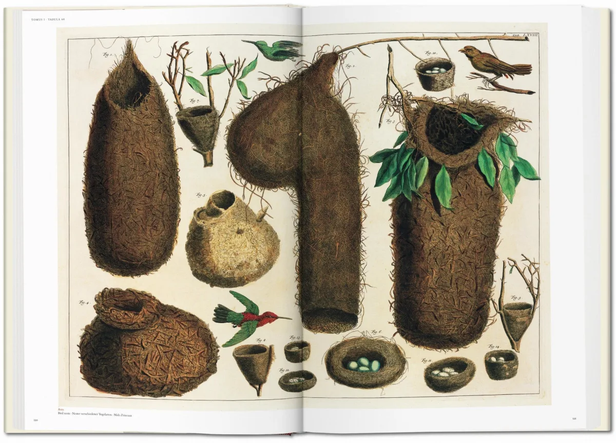 TASCHEN Seba. Cabinet of Natural Curiosities Preisnachlass