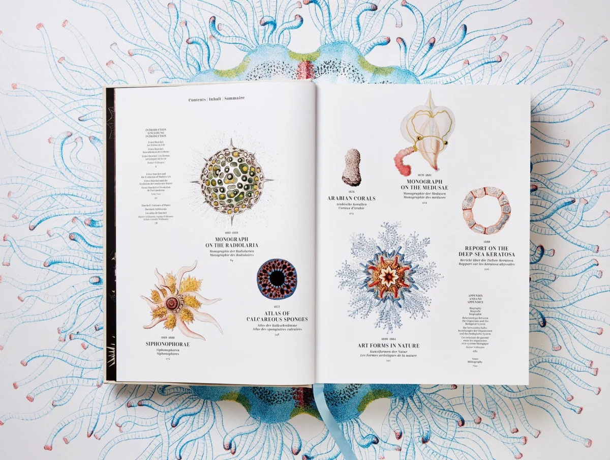 TASCHEN The Art and Science of Ernst Haeckel Muttertagsangebot