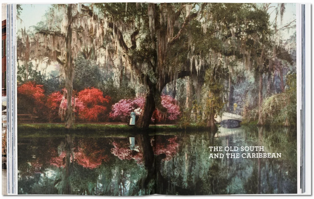 TASCHEN America 1900 Meist gekauft