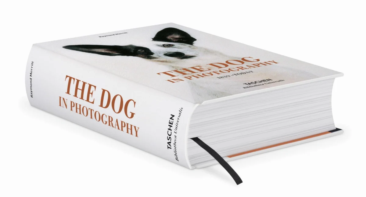 TASCHEN The Dog in Photography 1839–Today Cyber Monday