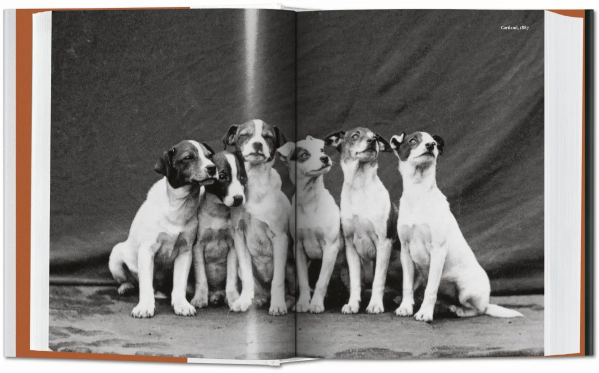 TASCHEN The Dog in Photography 1839–Today Cyber Monday