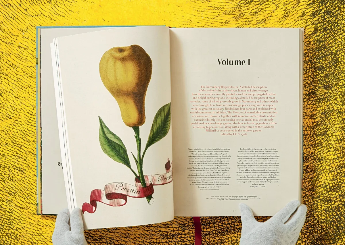 TASCHEN J. C. Volkamer. The Book of Citrus Fruits Muttertagsangebot