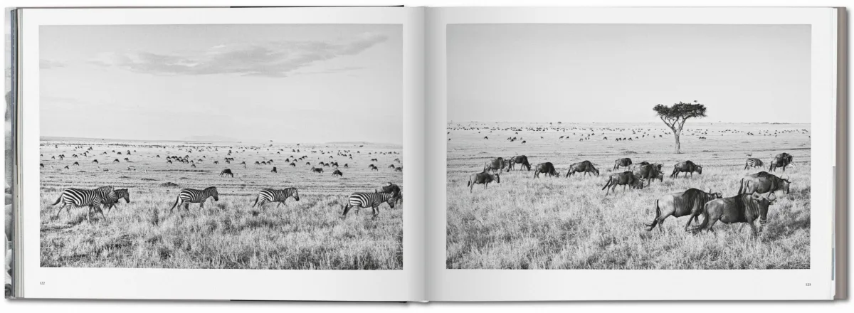 TASCHEN Sebastião Salgado. Africa Heißer Verkauf