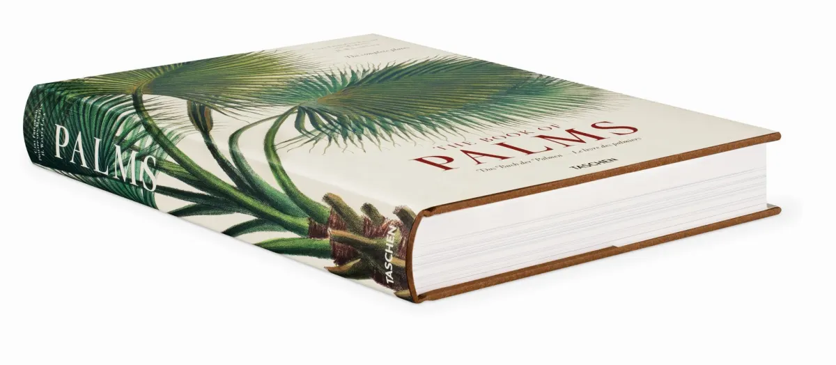 TASCHEN Martius. The Book of Palms Exklusive Angebote