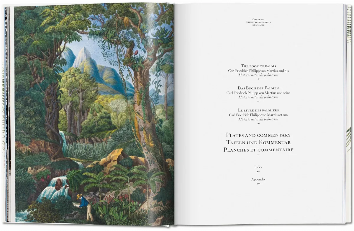 TASCHEN Martius. The Book of Palms Exklusive Angebote