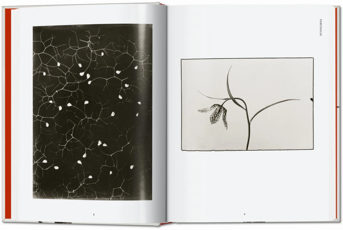 TASCHEN Karl Blossfeldt. The Complete Published Work. 40th Ed Hotsell