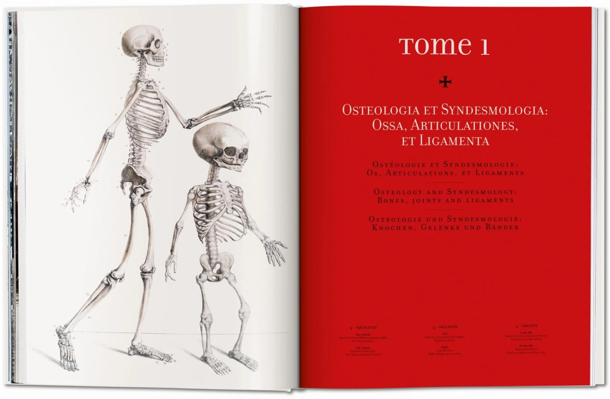 TASCHEN Bourgery. Atlas of Human Anatomy and Surgery Begrenztes Angebot