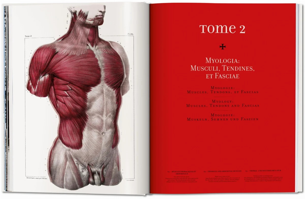 TASCHEN Bourgery. Atlas of Human Anatomy and Surgery Begrenztes Angebot