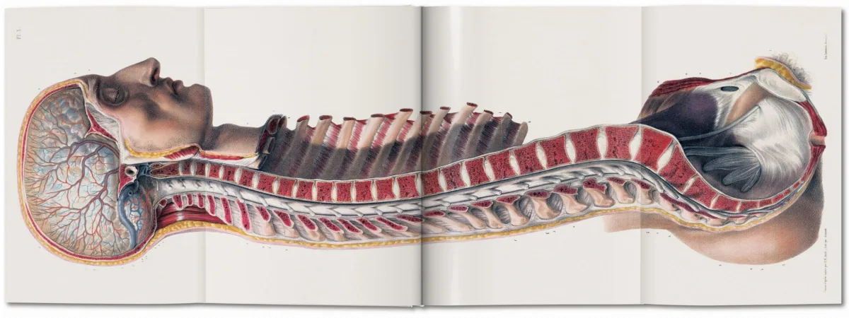 TASCHEN Bourgery. Atlas of Human Anatomy and Surgery Begrenztes Angebot