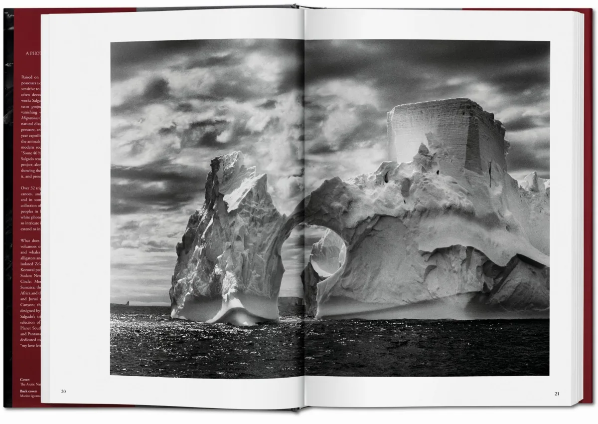 TASCHEN Sebastião Salgado. Genesis Bis zu 60% Rabatt