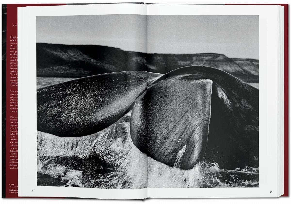 TASCHEN Sebastião Salgado. Genesis Bis zu 60% Rabatt