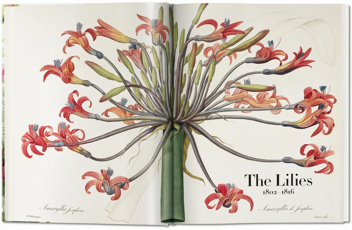 TASCHEN Redouté. The Book of Flowers Nur für heute