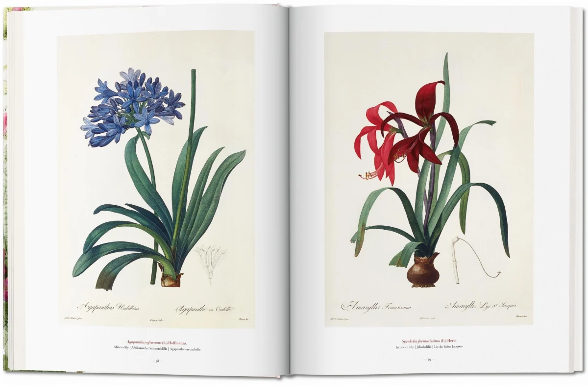 TASCHEN Redouté. The Book of Flowers Nur für heute