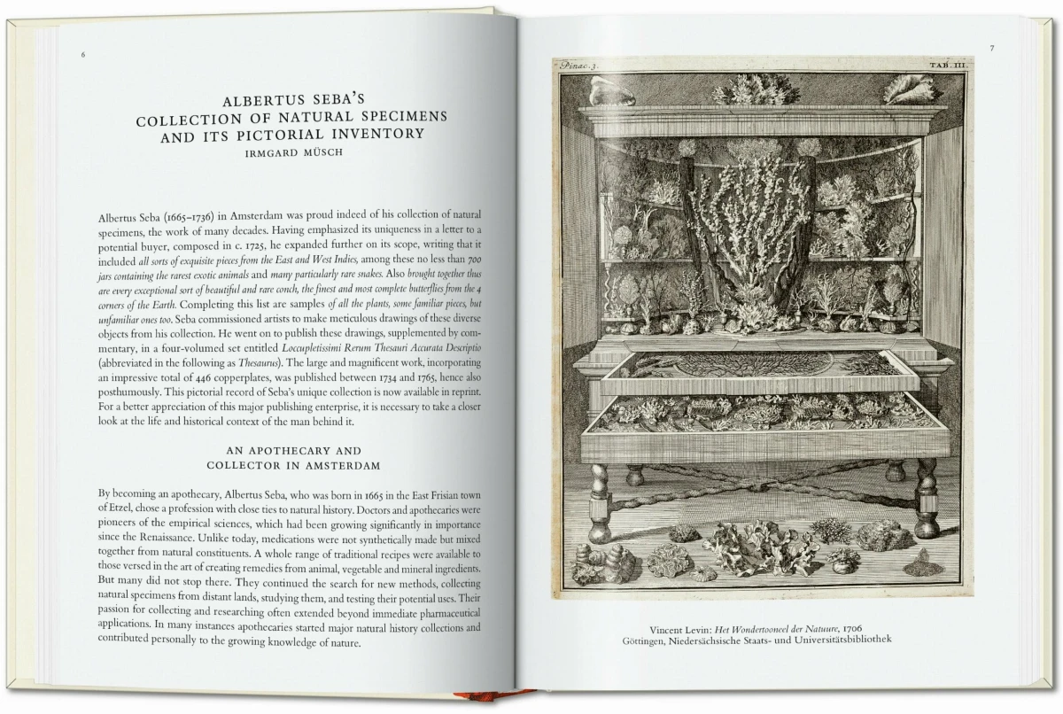 TASCHEN Seba. Cabinet of Natural Curiosities. 40th Ed Fabrikladen