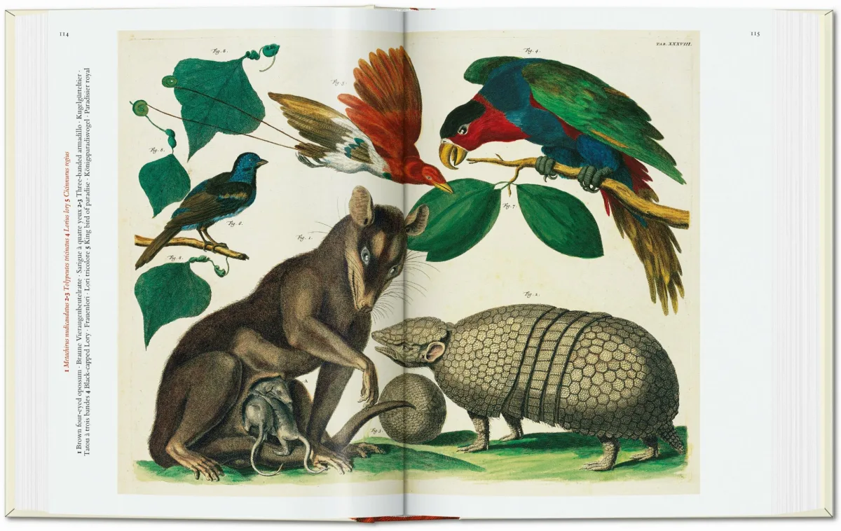 TASCHEN Seba. Cabinet of Natural Curiosities. 40th Ed Fabrikladen