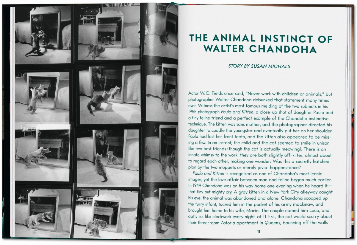 TASCHEN Walter Chandoha. Cats. Photographs 1942–2018 Flash Sale