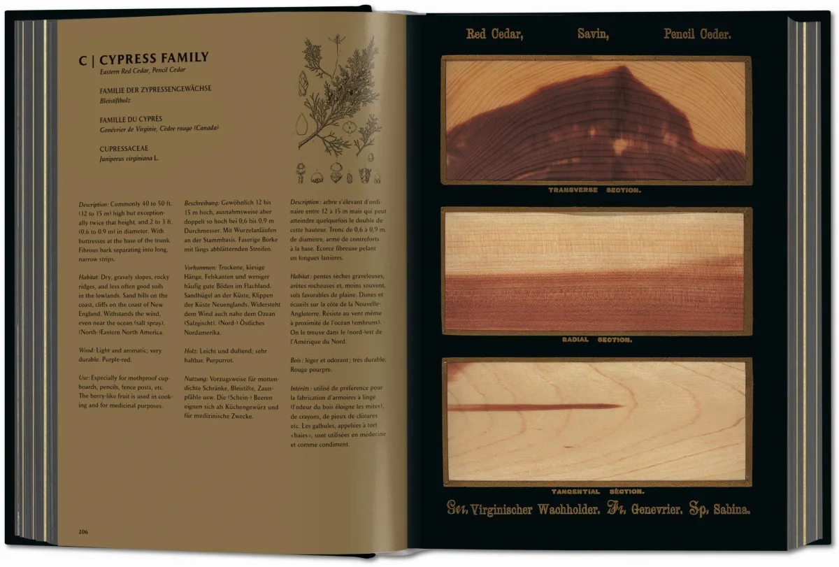 TASCHEN Romeyn B. Hough. The Woodbook. The Complete Plates Exklusive Angebote