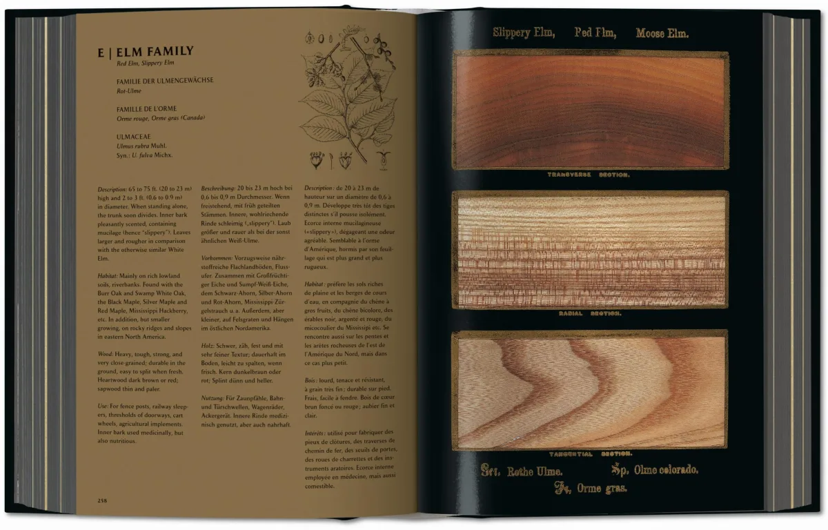 TASCHEN Romeyn B. Hough. The Woodbook. The Complete Plates Exklusive Angebote