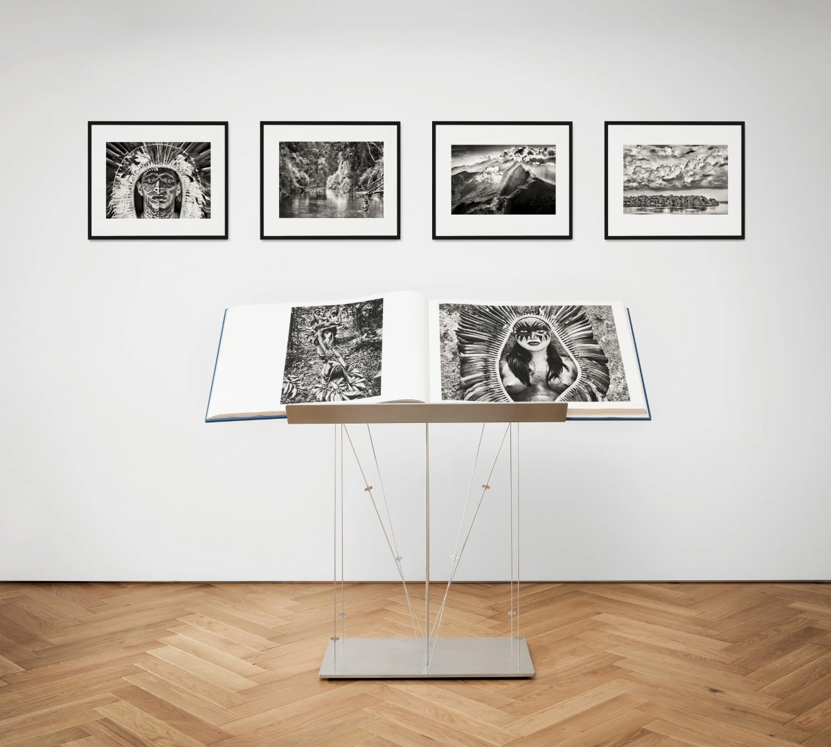 TASCHEN Sebastião Salgado. Amazônia, Art Edition No. 301–400 ‘The Paraná connecting the Rio Negro with the Cuyuní River’ Exklusivangebot