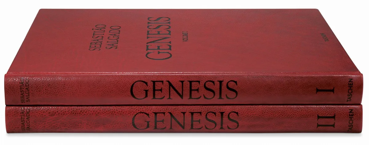 TASCHEN Sebastião Salgado. Genesis. Art Edition No. 201–300 ‘Black-Browed Albatrosses, Falkland Islands’ Black Friday