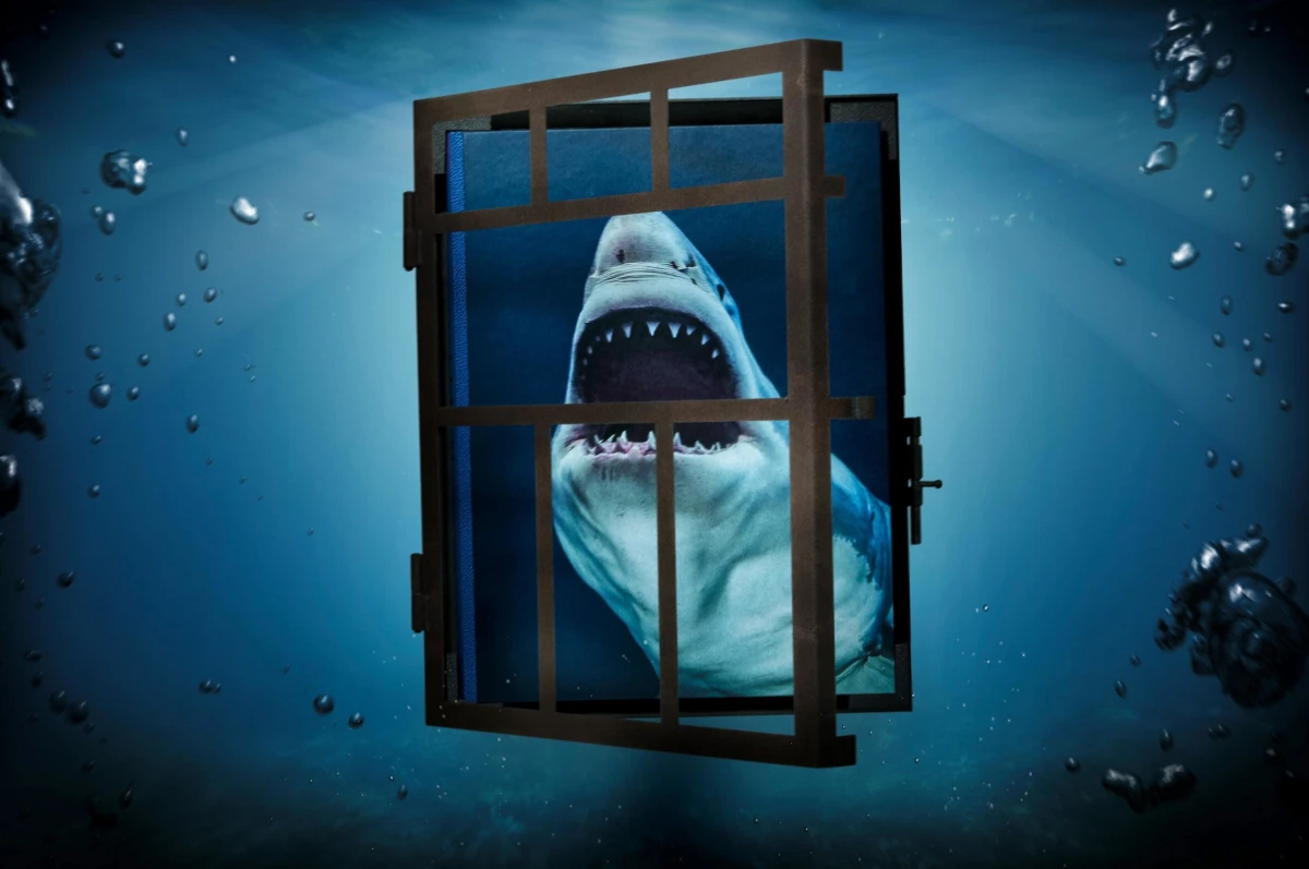 TASCHEN Michael Muller. Sharks Valentinstagsangebot