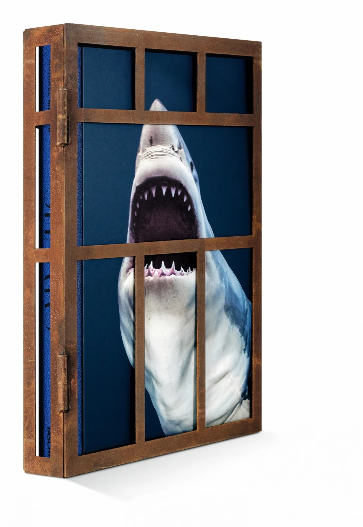 TASCHEN Michael Muller. Sharks, Art Edition No. 101–200 ‘Under Study’ Lagerräumung