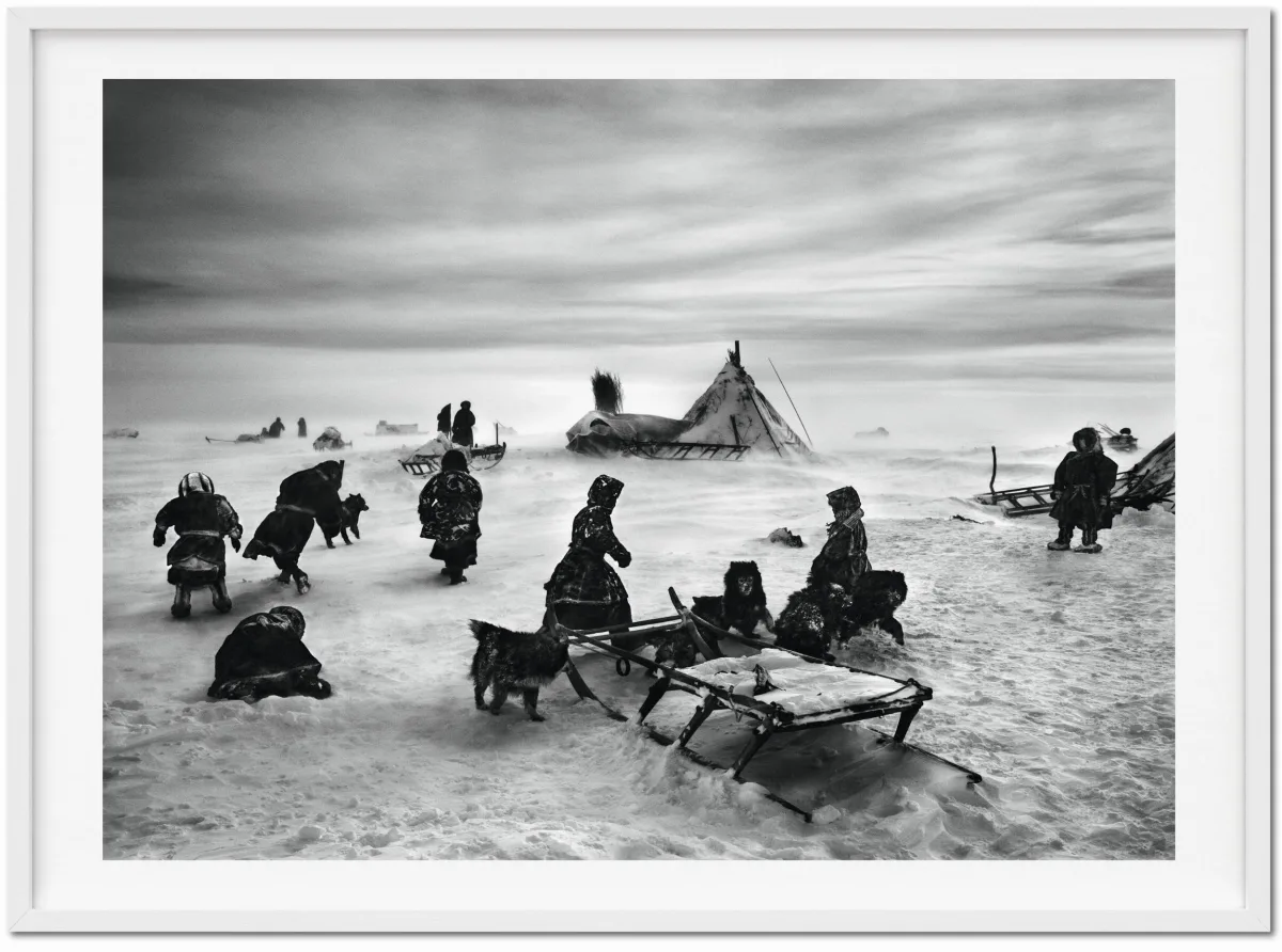 TASCHEN Sebastião Salgado. Genesis. Art Edition No. 101–200 ‘North of the Ob River, Yamal Peninsula, Siberia, Russia’ Zeitlich begrenztes Angebot