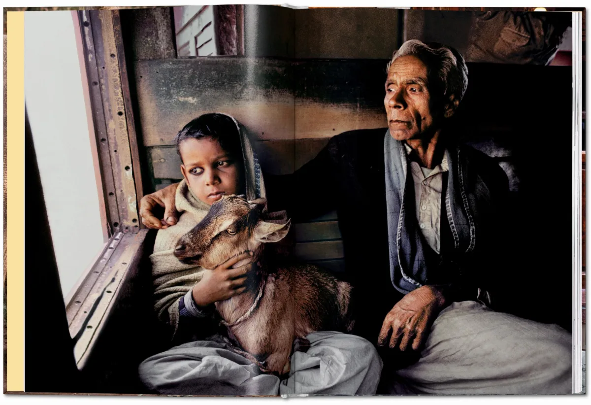 TASCHEN Steve McCurry. Animals Sonderangebot der Fabrik