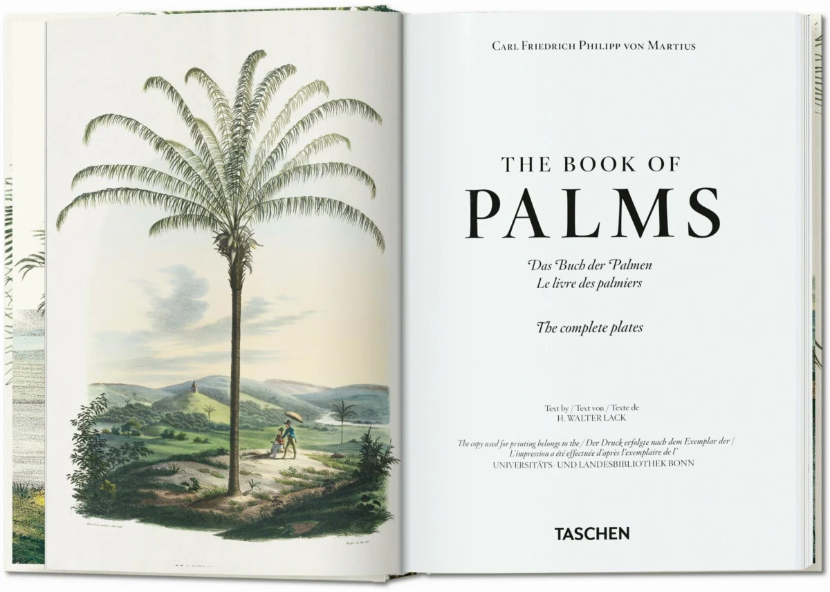 TASCHEN Martius. The Book of Palms. 40th Ed Riesige Rabatte