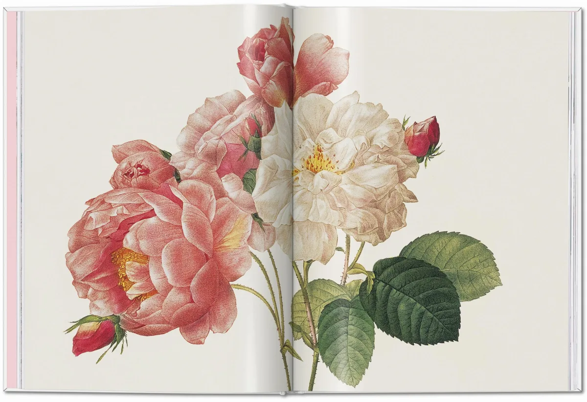 TASCHEN Redouté. Roses Hotsell