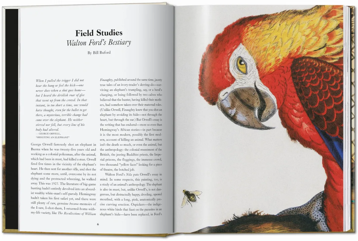 TASCHEN Walton Ford. 40th Ed Rabatt