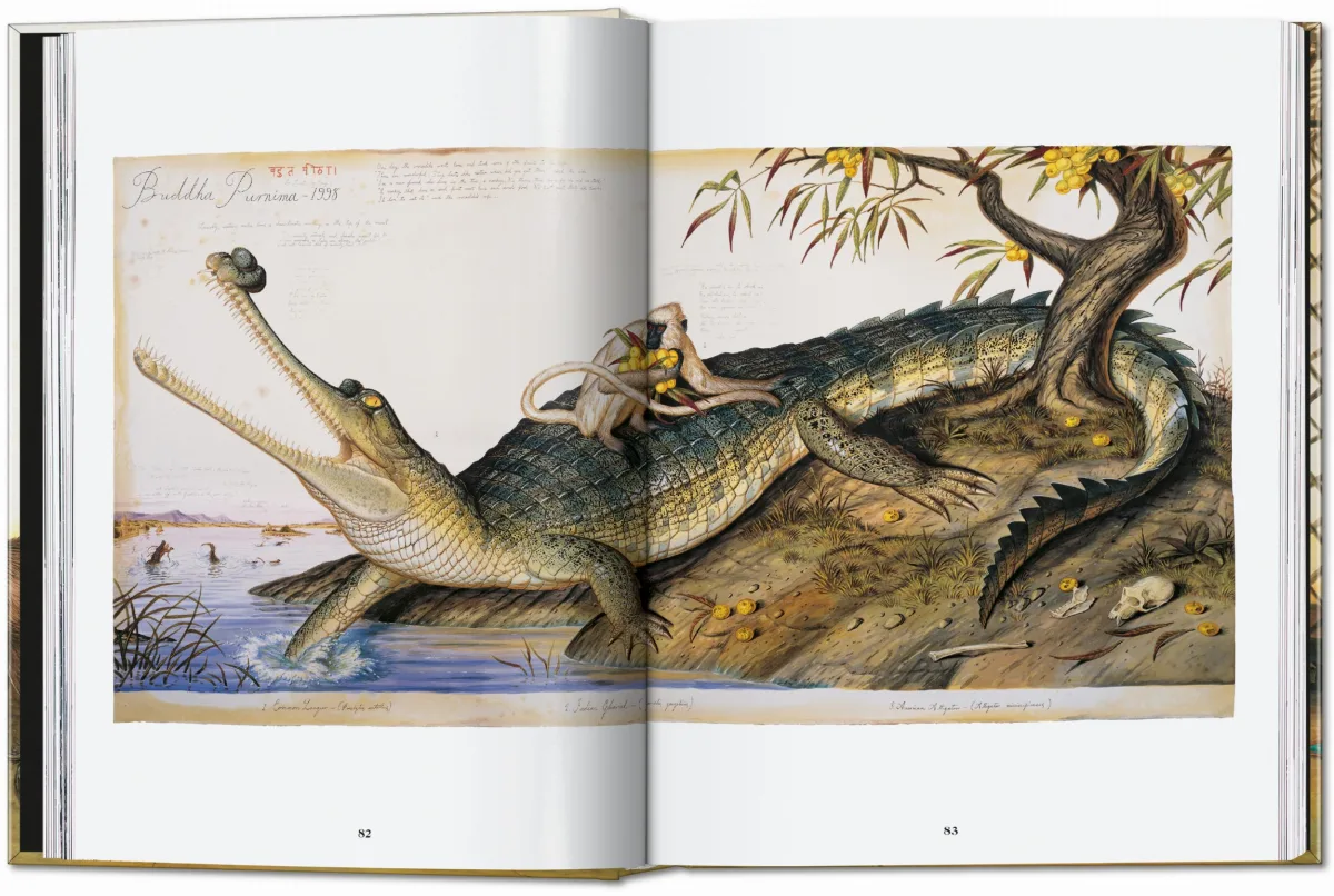 TASCHEN Walton Ford. 40th Ed Rabatt